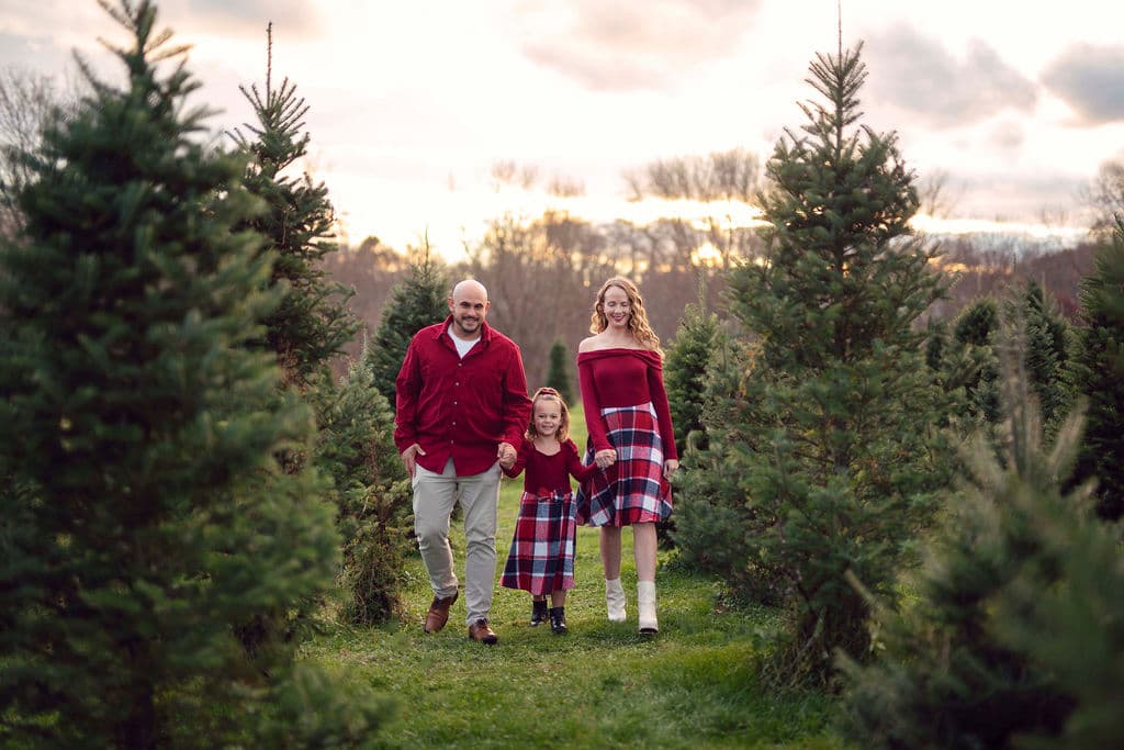 Family walking through rows of Christmas trees